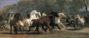 Studium dla Horsemarket, 1852-54