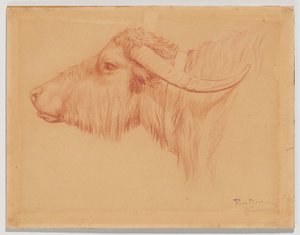  autorstwa Rosa Bonheur