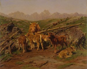 Odsadzanie cieląt, 1879.