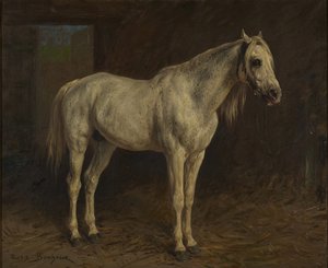 Biały koń autorstwa Rosa Bonheur