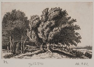 Krajobraz autorstwa Rosalie Holm