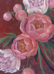 Eleganckie różowe piwonie autorstwa Rosana Laiz Blursbyai