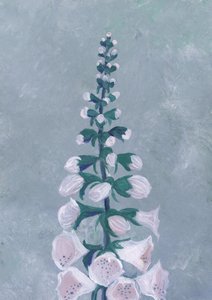 Kwiat białej naparstnicy autorstwa Rosana Laiz Blursbyai