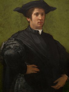 Portret mężczyzny, początek lat 20. XVI wieku.