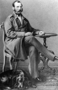 Portret cesarza Rosji Aleksandra II (Aleksandra II, Aleksandra Nikołajewicza Romanowa, Aleksandra II Nikołajewicza) (1818-1881) autorstwa Russian Photographer