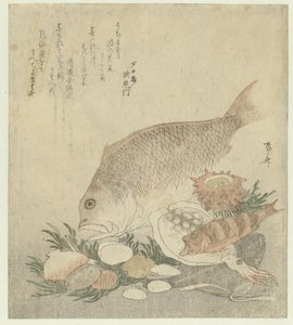 Ryby i muszle autorstwa Ryuryukyo Shinsai