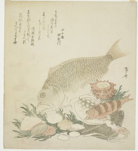 Ryby i muszle autorstwa Ryuryukyo Shinsai