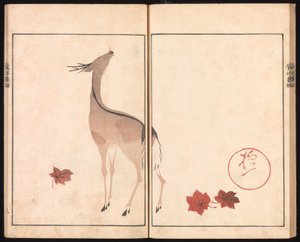 Album obrazów Ōson (Hōitsu) (Ōson gafu) autorstwa Sakai Hoitsu