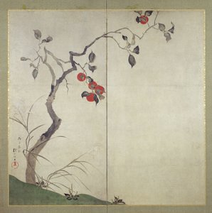 Persimmon on Tree (atrament, kolory i złoto na papierze)