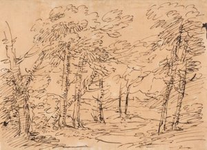 Pejzaż z drzewami i górami w tle autorstwa Salvator Rosa
