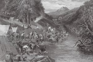 Australia: Płukanie złota aluwialnego (grawerunek)