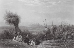 Australia: Grass Tree Plains (grawerunek)