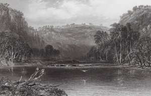 Australia: Nad rzeką Cow Pasture (rycina) autorstwa Samuel (after) Prout