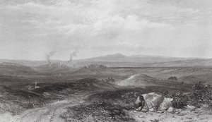Australia: Widok w pobliżu Botany Bay (grawerunek) autorstwa Samuel (after) Prout