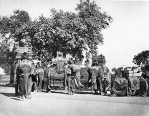 Grupa Słoni Wicekróla i ich państwowych pułapek, ok. 1860 r. autorstwa Samuel Bourne