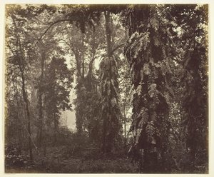 Darjeeling, Indie, ok. 1930 r. 1865. autorstwa Samuel Bourne