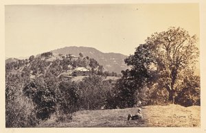 Simla; "Peterhof" autorstwa Samuel Bourne