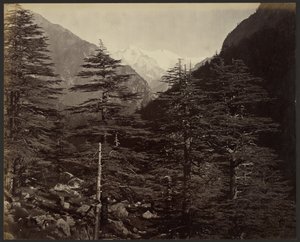 Ośnieżone szczyty w pobliżu Gangotri, z Bhairamghati autorstwa Samuel Bourne