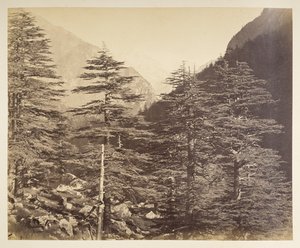 Ośnieżone szczyty w pobliżu Gangootri z Bhairamghati. Fotograf: Bourne, Samuel Album fotografii Indii, głównie Samuela Bourne