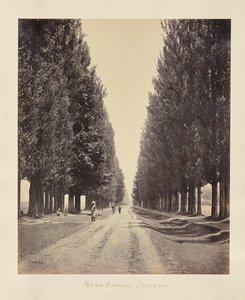  autorstwa Samuel Bourne