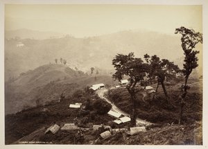 Bazar Teendari, Darjeeling,  z „Widoków Darjeeling”,  1860 - 1880    (zdjęcie czarno-białe) autorstwa Samuel Bourne
