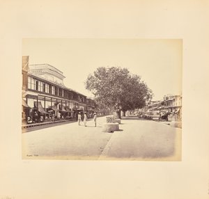 Chandni-Chouk, główna ulica w Delhi autorstwa Samuel Bourne