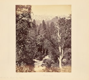  autorstwa Samuel Bourne