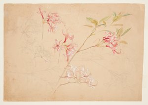 Azalia autorstwa Samuel Colman