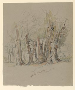 Cyprysy z Chapultepec, Meksyk autorstwa Samuel Colman