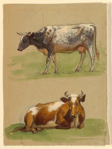 Rysunek, bydło, krowa idąca i krowa przykucnięta, 1875-80 autorstwa Samuel Colman