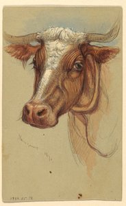 Rysunek, Szkice z Narragansett, Rhode Island, 1871 r. autorstwa Samuel Colman