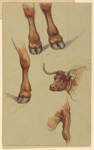 Rysunek, Szkice z Narragensett, Rhode Island, 1871 r. autorstwa Samuel Colman