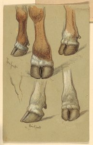 Rysunek, Studia nad bydłem, 1871 autorstwa Samuel Colman