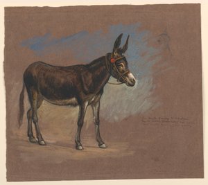 Rysunek, Studium. Muł, 1872-75 autorstwa Samuel Colman