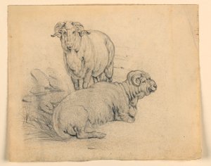 Rysunek, Studium. Dwa barany, ok. 1850 autorstwa Samuel Colman