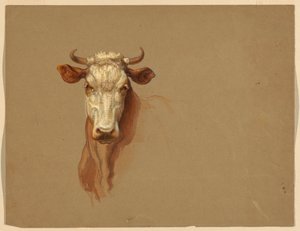 Rysunek, Dwa studia.  Bydło, 1876 autorstwa Samuel Colman