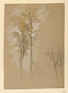 Oaks, Lady Wood Lane, Irvington