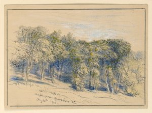Studium Maple Grove, Greensboro, Vermont autorstwa Samuel Colman
