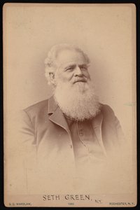 Portret Setha Greena 1817-1888, 1886. autorstwa Samuel D Wardlaw