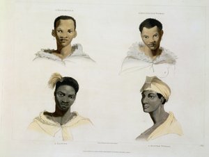 Hottentot, Hottentot Woman, Kaffre, Kaffre Woman: cztery winiety głowy i ramion, tablica 14 z „Afrykańska sceneria i zwierzęta”, rytowana przez artystę, 1804 (akwatinta)