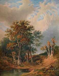 Krajobraz, 1847 autorstwa Samuel David Colkett