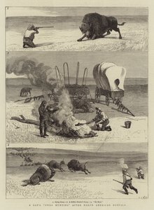 Dzień wciąż poluje na północnoamerykańskie bawoły autorstwa Samuel Edmund Waller