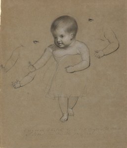 Charlotte Gebhardt Morse autorstwa Samuel Finley Breese Morse