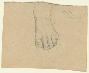 Studium do wyroku Jowisza (Apollo, lewa stopa) autorstwa Samuel Finley Breese Morse