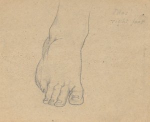 Studium do sądu nad Jowiszem (Idas, prawa stopa) autorstwa Samuel Finley Breese Morse