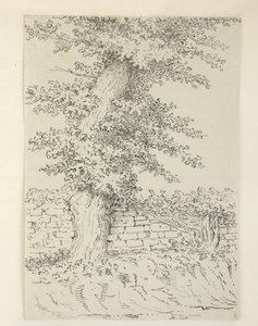 Dodać. MS 15546 Am Wiąz w Bedminster autorstwa Samuel Hieronymous Grimm