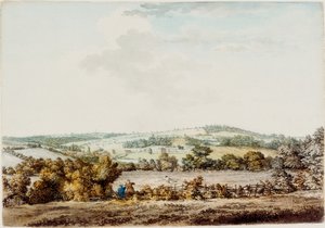 Stary Dom w Folwarku i Lasku Fryzjerskim, 1787 (pióro i atrament i wc na papierze) autorstwa Samuel Hieronymous Grimm