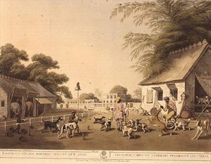 „Dooreahs lub Dog Keepers wyprowadzający psy”, z Oriental Field Sports Samuela Howetta (1756-1822), wyd. przez Edwarda Orme