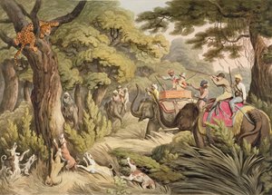 Shooting A Leopard, z Oriental Field Sports, wyd. Edwarda Orme, 1807 (druk)
