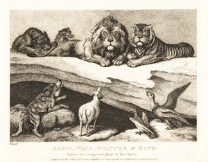 Sprawa sądowa między zwierzętami, z lwem i tygrysem jako sędziami. 1811 (akwaforta) autorstwa Samuel Howitt